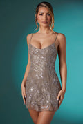 Embellished Lace Mini Dress in Taupe